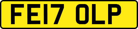 FE17OLP