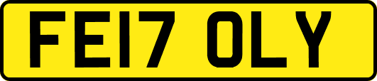 FE17OLY