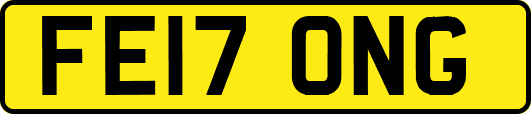 FE17ONG