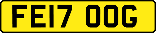 FE17OOG