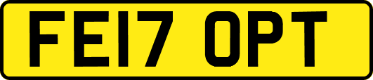 FE17OPT