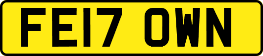 FE17OWN