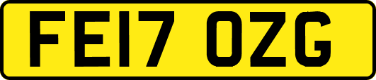FE17OZG