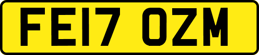 FE17OZM