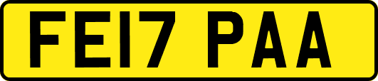 FE17PAA