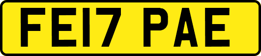 FE17PAE