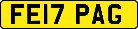 FE17PAG