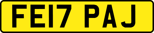 FE17PAJ