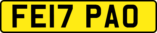 FE17PAO