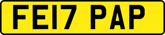 FE17PAP