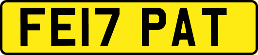 FE17PAT