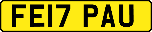 FE17PAU