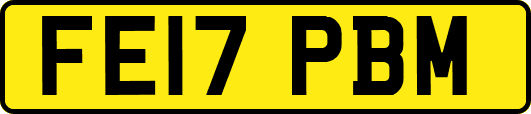 FE17PBM