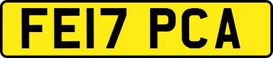 FE17PCA