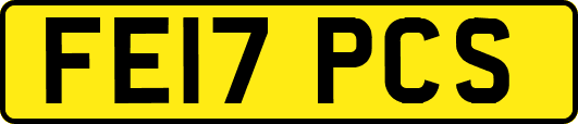 FE17PCS