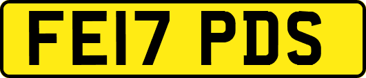 FE17PDS