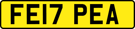 FE17PEA