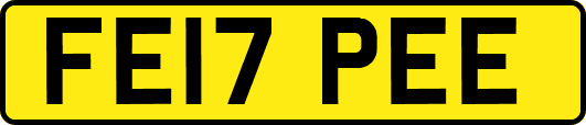 FE17PEE