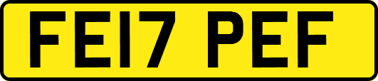 FE17PEF