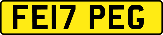 FE17PEG