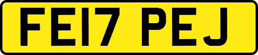 FE17PEJ