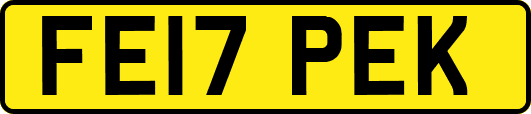 FE17PEK