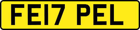 FE17PEL