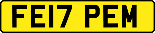 FE17PEM