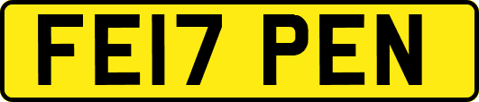 FE17PEN