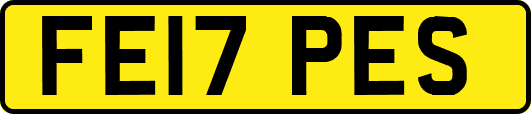 FE17PES