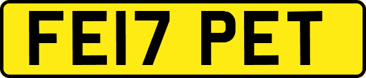 FE17PET