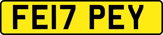 FE17PEY