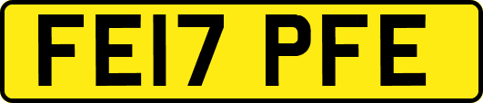 FE17PFE