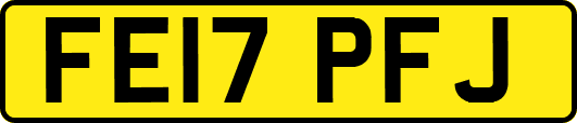 FE17PFJ