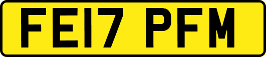 FE17PFM