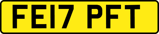 FE17PFT