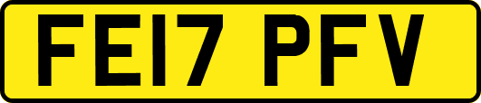FE17PFV