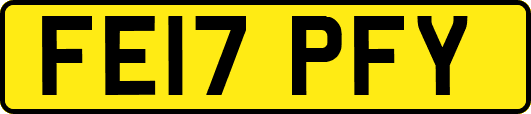 FE17PFY
