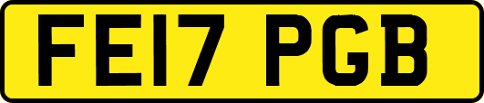 FE17PGB