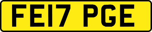 FE17PGE