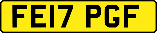 FE17PGF