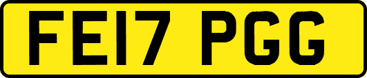 FE17PGG
