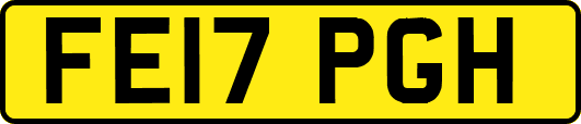 FE17PGH