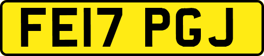 FE17PGJ