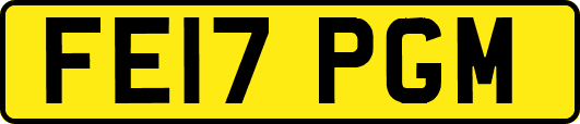 FE17PGM
