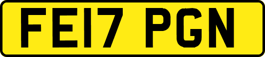 FE17PGN