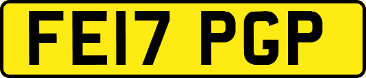 FE17PGP