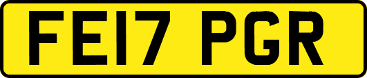 FE17PGR