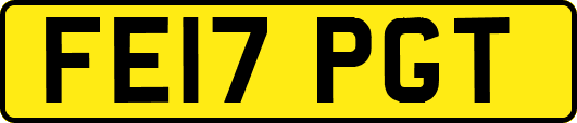 FE17PGT
