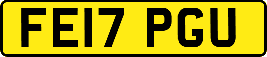 FE17PGU